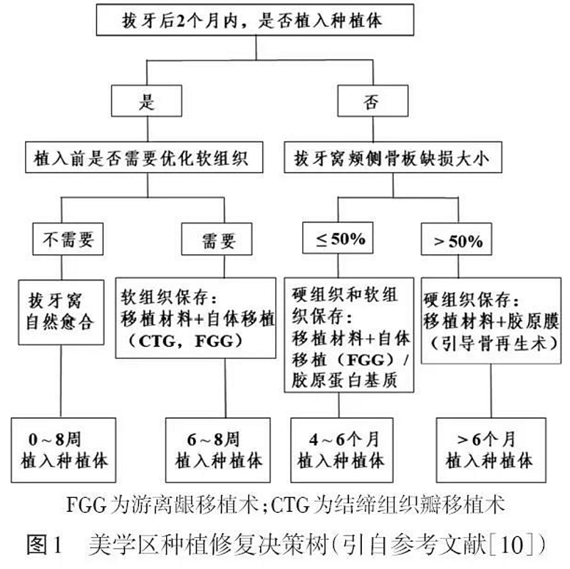  專題筆談 | 前牙美學區種植時機的選擇