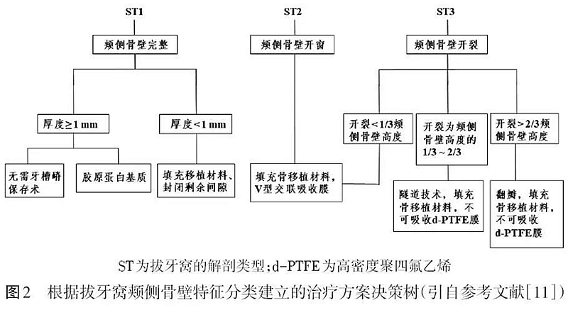  專題筆談 | 前牙美學區種植時機的選擇