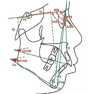 口腔臨床數(shù)據(jù)庫(kù)